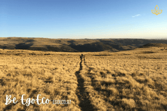 Nachhaltig leben Tipp 7 - Lade die Welt an Deinen Tisch!