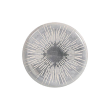 Lade das Bild in den Galerie-Viewer, V2HB853C78BCD88EAD77685633C76B61C1BR5602363P2