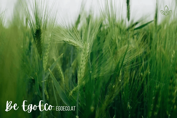 Nachhaltig leben Tipp 2 - Verwende Küchenhelfer aus Biokunststoff! von EGOECO um plastikfrei und nachhaltig gut im mediterranen Stil zu leben 