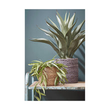 Lade das Bild in den Galerie-Viewer, V6HDA94D48DF41AD697119AF8C9AD1E1695R2068244P5

