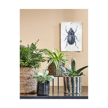 Lade das Bild in den Galerie-Viewer, V6H98305ACA3BABC153EDA896E8CDEE7625R2068247P8
